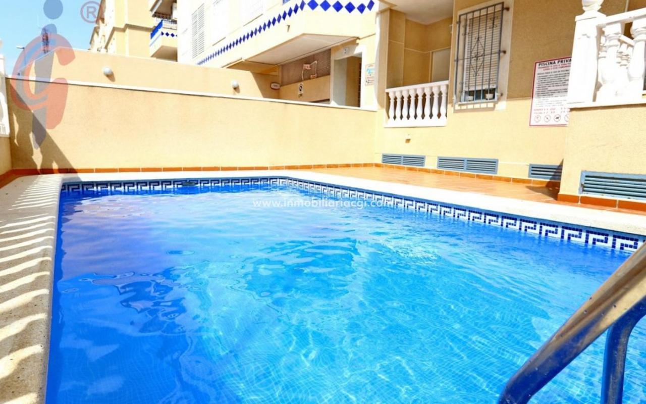 Apartamento Dama De Guardamar Daire Guardamar del Segura Dış mekan fotoğraf